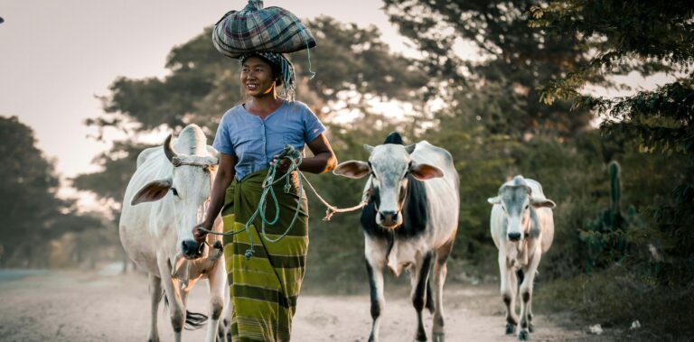 Unlocking Health Systems Resilience: A Resource Guide for Protecting Women’s Lives in a Warming World