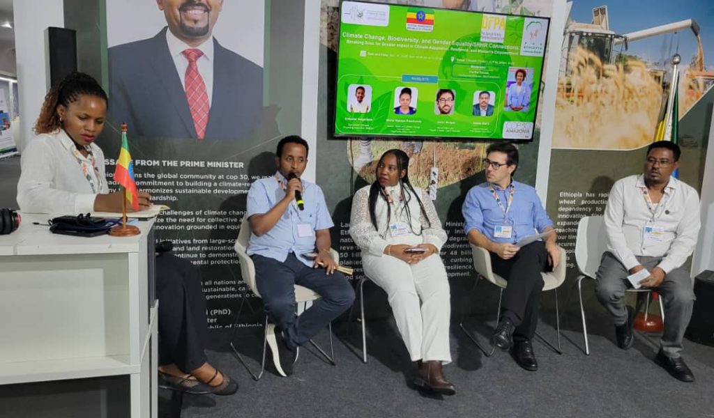 WhatsApp Image 2025-11-20 at 23.33.13