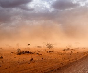 climate-change-3-scaled