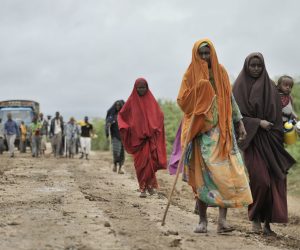 image-from-rawpixel-id-3372897-jpeg-scaled