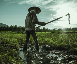 pexels-photo-14092191